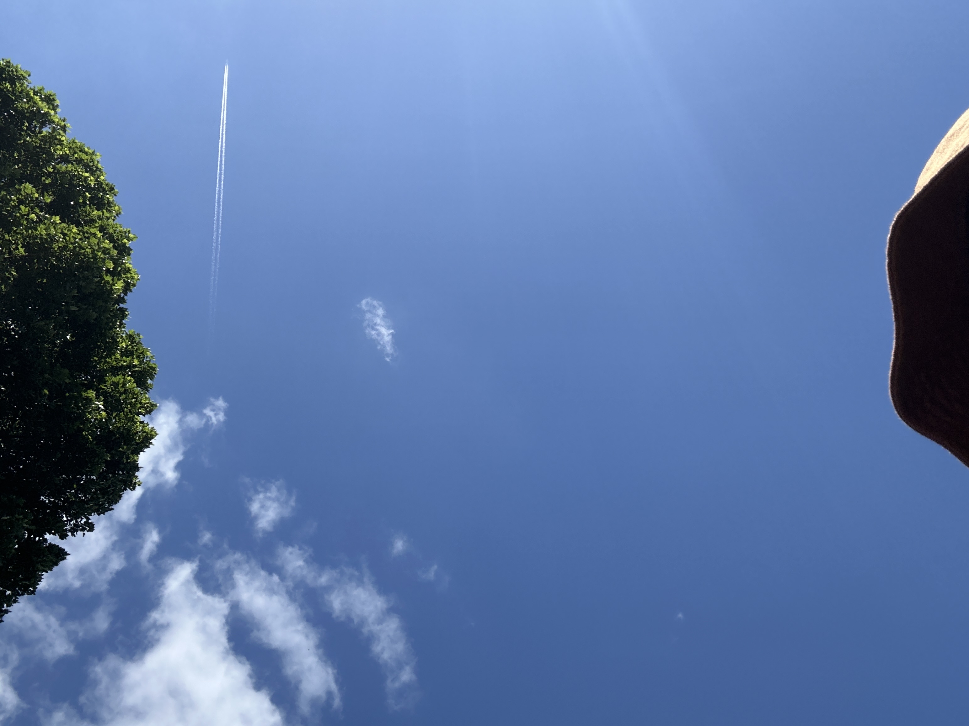 Love the sky today!