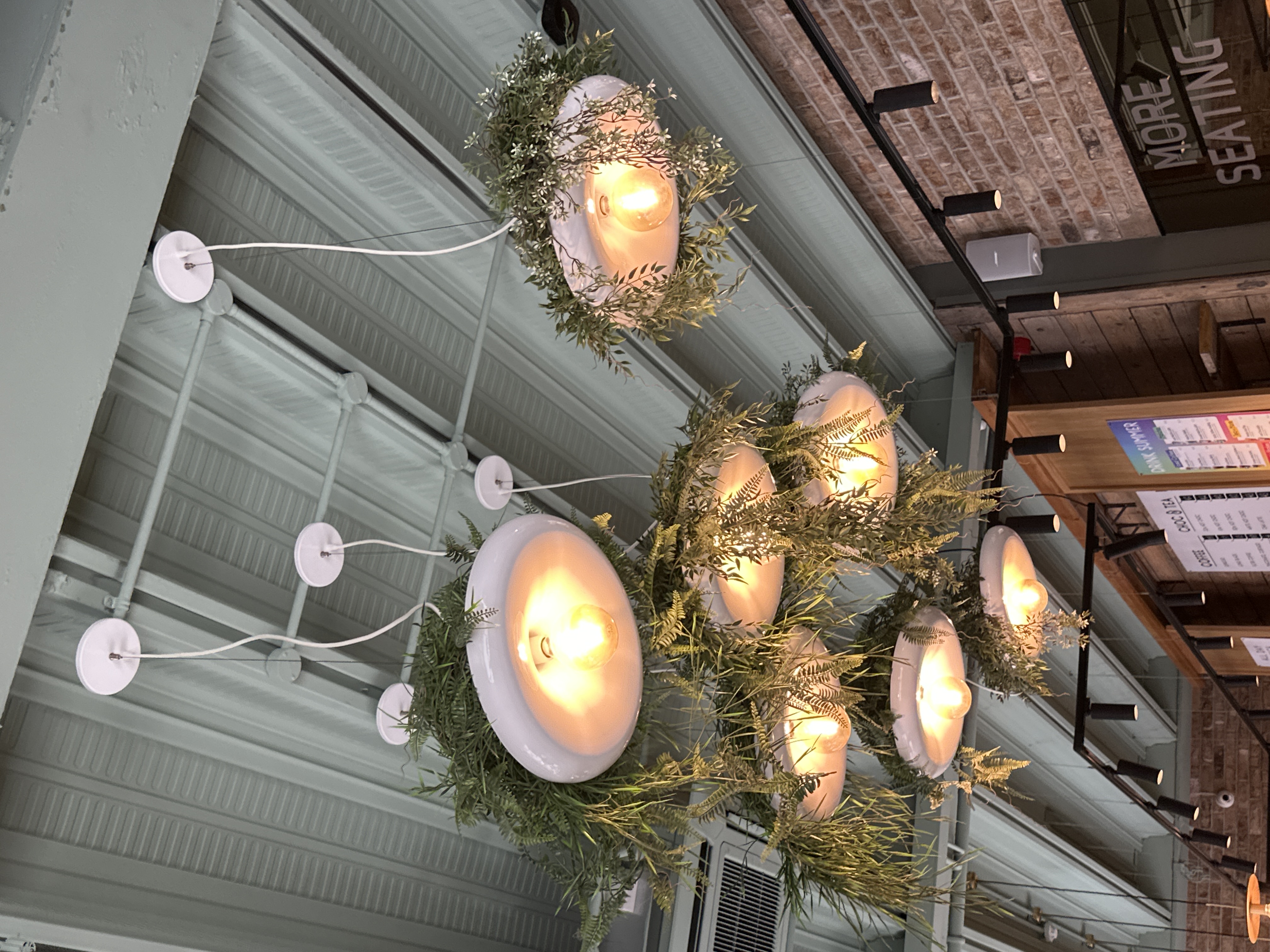 Lights and weeds