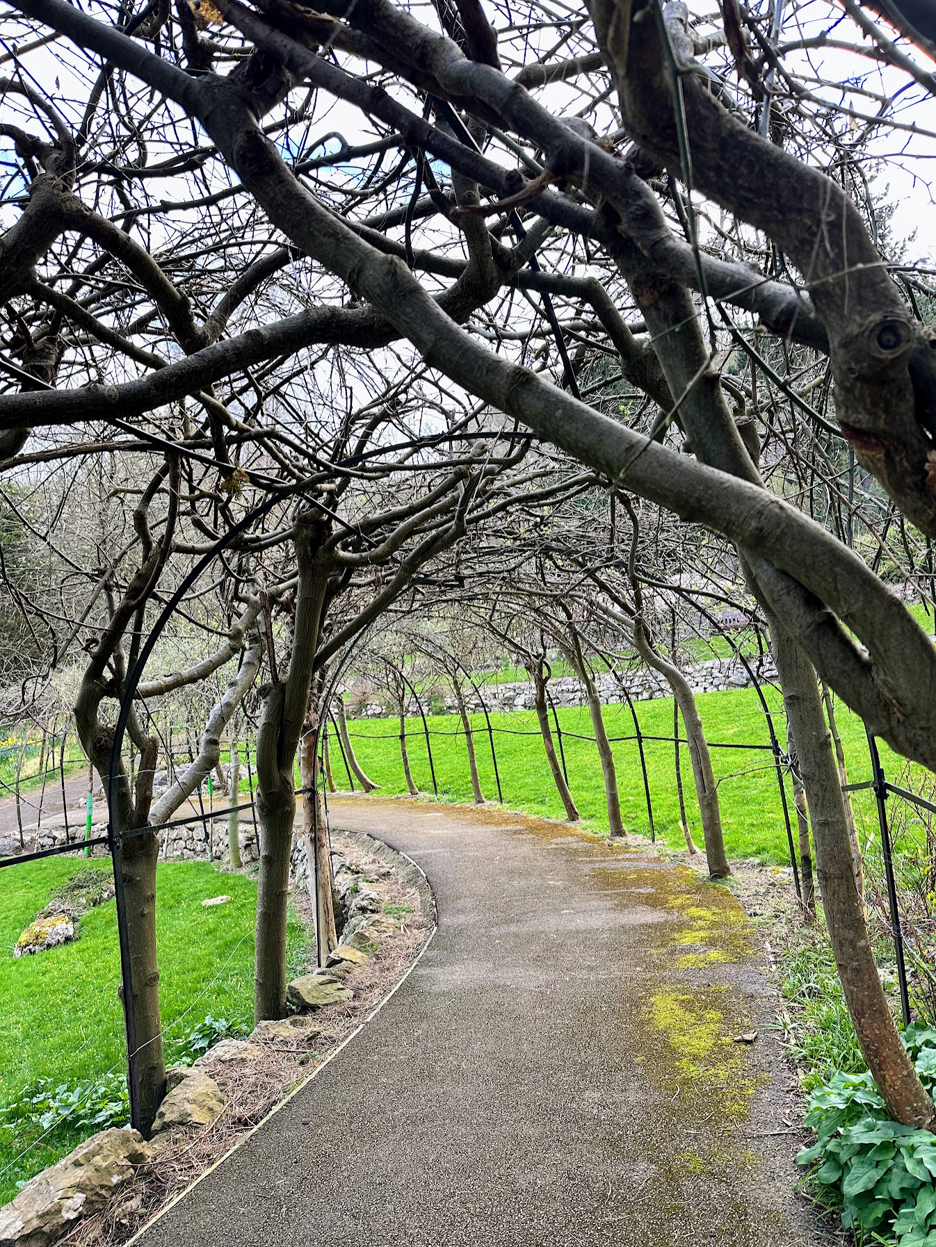 Happy Valley Botanical Garden